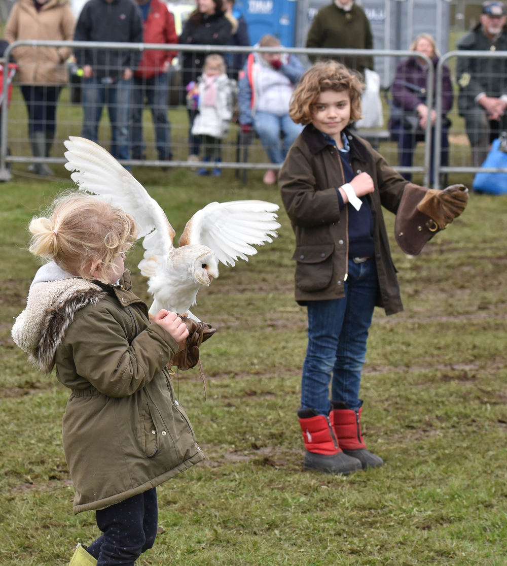 Falconry Children