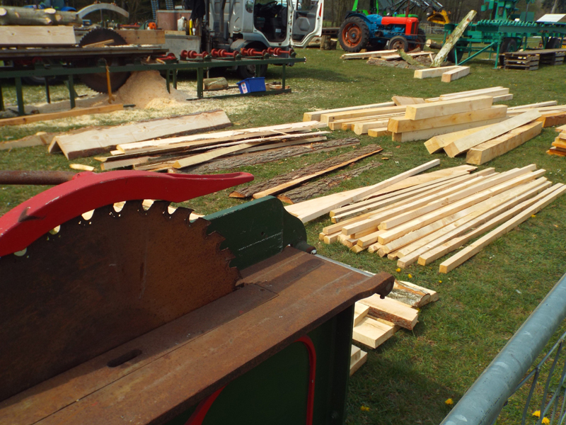 Chainsaw Carving