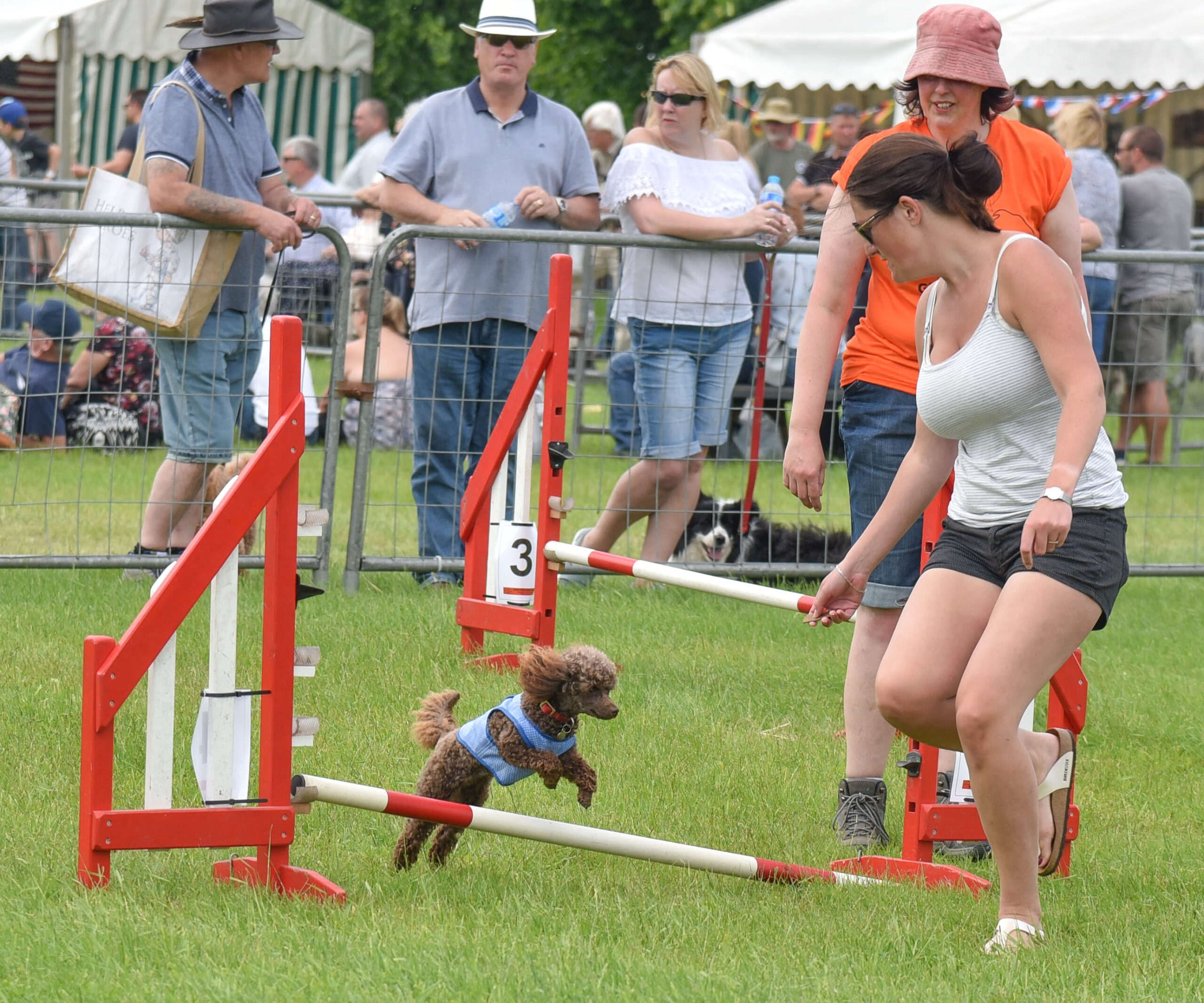 Burghley Dog Agility